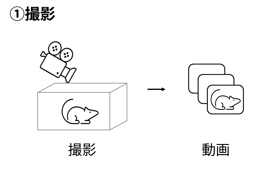 ステップ1の画像